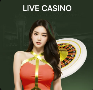 金蛇纳福金刚官网入口